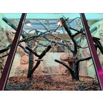 Zdjęcia użytkowników OnePlus 9 Pro