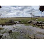 Zdjęcia użytkowników OnePlus 9 Pro