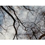 Zdjęcia użytkowników OnePlus 9 Pro