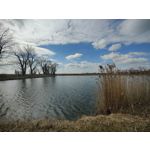 Zdjęcia użytkowników OnePlus 9 Pro