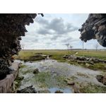 Zdjęcia użytkowników OnePlus 9 Pro