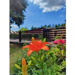 Zdjęcia użytkowników OnePlus 9 Pro