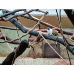 Zdjęcia użytkowników OnePlus 9 Pro