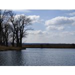 Zdjęcia użytkowników OnePlus 9 Pro