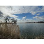 Zdjęcia użytkowników OnePlus 9 Pro