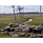 Zdjęcia użytkowników OnePlus 9 Pro