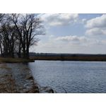 Zdjęcia użytkowników OnePlus 9 Pro