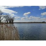 Zdjęcia użytkowników OnePlus 9 Pro