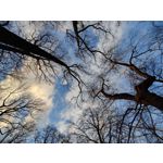 Zdjęcia użytkowników OnePlus 9 Pro