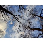 Zdjęcia użytkowników OnePlus 9 Pro