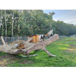 Zdjęcia użytkowników OnePlus Nord 2