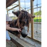 Zdjęcia użytkowników OnePlus Nord 2