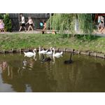 Zdjęcia użytkowników OnePlus Nord 2