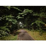 Zdjęcia użytkowników OnePlus Nord 2