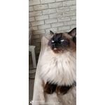 Zdjęcia użytkowników OnePlus Nord 2T Zdjęcia użytkowników OnePlus Nord 2T