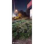 Zdjęcia użytkowników OnePlus Nord 2T Zdjęcia użytkowników OnePlus Nord 2T