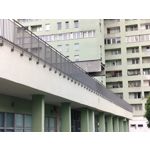 Zdjęcia użytkowników OnePlus Nord CE 3 Lite