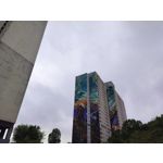 Zdjęcia użytkowników OnePlus Nord CE 3 Lite