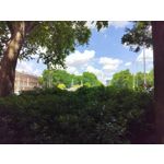 Zdjęcia użytkowników OnePlus Nord CE 3 Lite