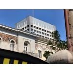 Zdjęcia użytkowników OnePlus Nord CE 3 Lite