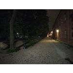 Zdjęcia użytkowników OnePlus Nord CE 3 Lite