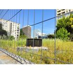 Zdjęcia użytkowników OnePlus Nord CE 3 Lite