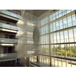 Zdjęcia użytkowników OnePlus Nord CE 3 Lite