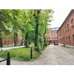 Zdjęcia użytkowników OnePlus Nord CE 3 Lite