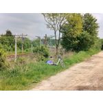 Zdjęcia użytkowników OnePlus Nord CE 3 Lite