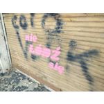 Zdjęcia użytkowników OnePlus Nord CE 3 Lite