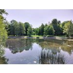 Zdjęcia użytkowników OnePlus Nord CE 3 Lite