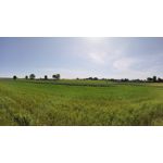 Zdjęcia użytkowników OnePlus Nord CE 3 Lite