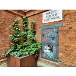 Zdjęcia użytkowników OnePlus Nord CE 3 Lite