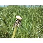 Zdjęcia użytkowników OnePlus Nord CE 3 Lite