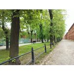 Zdjęcia użytkowników OnePlus Nord CE 3 Lite