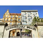 Zdjęcia użytkowników OnePlus Nord CE 3 Lite