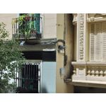 Zdjęcia użytkowników OnePlus Nord CE 3 Lite