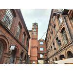 Zdjęcia użytkowników OnePlus Nord CE 3 Lite