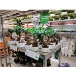 Zdjęcia użytkowników OnePlus Nord N10 5G