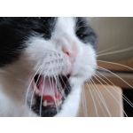 Zdjęcia użytkowników OnePlus Nord N10 5G