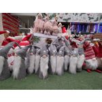 Zdjęcia użytkowników OnePlus Nord N10 5G