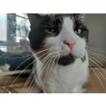 Zdjęcia użytkowników OnePlus Nord N10 5G