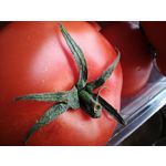 Zdjęcia użytkowników OnePlus Nord N10 5G