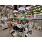 Zdjęcia użytkowników OnePlus Nord N10 5G