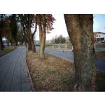 Zdjęcia użytkowników OnePlus One