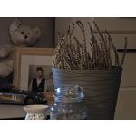 Zdjęcia użytkowników OnePlus Open