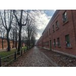 Zdjęcia użytkowników OnePlus Open