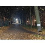 Zdjęcia użytkowników OnePlus Open