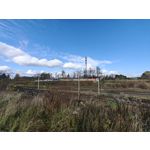 Zdjęcia użytkowników OnePlus Open