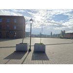 Zdjęcia użytkowników OnePlus Open